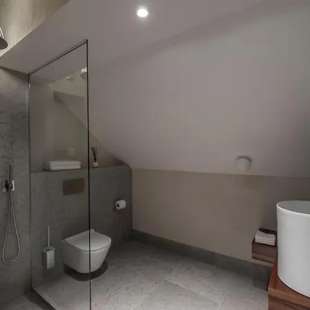 Отель Boutique Rosenplaenter 2*