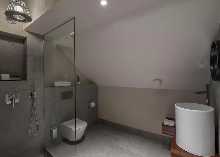 Hotel Boutique Rosenplaenter 2*