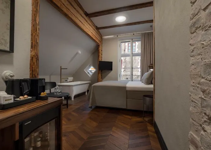 Hotel Boutique Rosenplaenter 2*